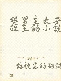 双男主太子和摄政王的小说