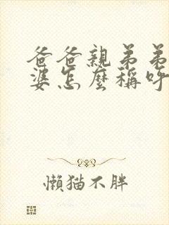 爸爸亲弟弟的老婆怎么称呼