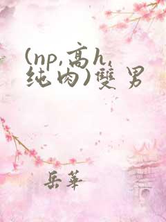 (np,高h,纯肉)双男