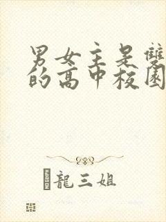 男女主是双学霸的高中校园小说