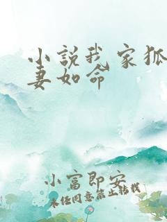 小说我家狐王宠妻如命