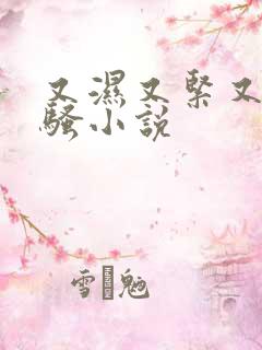 又湿又紧又滑又骚小说