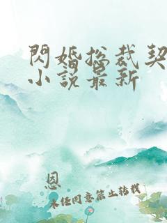 闪婚总裁契约妻小说最新