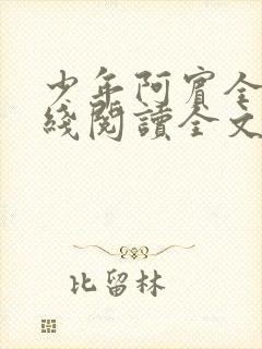 少年阿宾全文在线阅读全文免费阅读最新