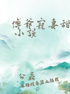 傅爷宠妻甜入骨 小说