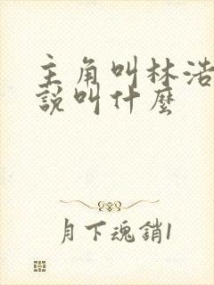 主角叫林浩的小说叫什么