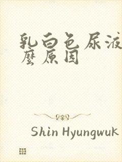 乳白色尿液是什么原因