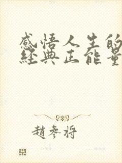 感悟人生的句子经典正能量