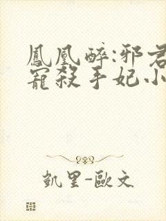 凤凰醉:邪君盛宠杀手妃小说完整免费