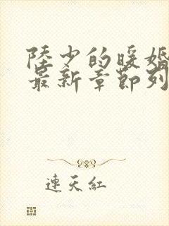 陆少的暖婚新妻最新章节列表