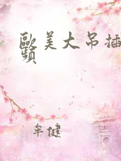 欧美大吊插b视频