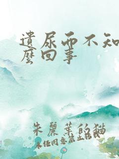 遗尿而不知是怎么回事