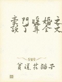 豪门暖婚之夫人说了算全文免费