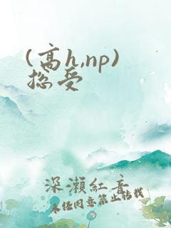 (高h,np)总受