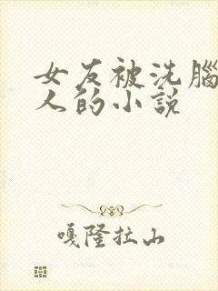 女友被洗脑成别人的小说