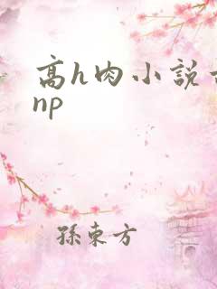 高h肉小说古言np