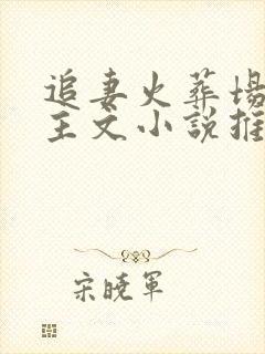 追妻火葬场双女主文小说推荐