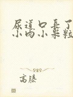 尿道口长了好多小肉小米粒