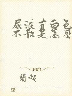 尿液有白色泡沫不散是怎么回事