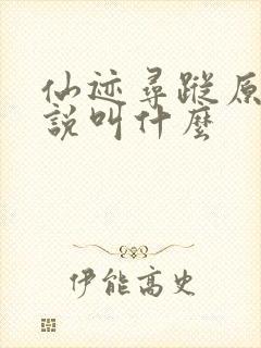 仙迹寻踪原著小说叫什么