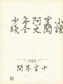 少年阿宾小说在线全文阅读