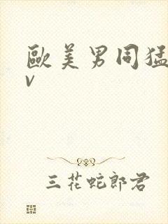 欧美男同猛男gv