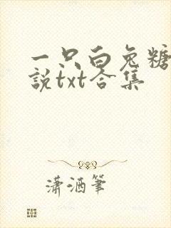 一只白兔糖的小说txt合集