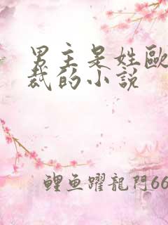 男主是姓欧的总裁的小说