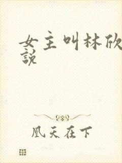 女主叫林欣的小说