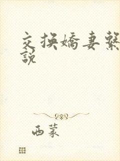 交换娇妻系列小说