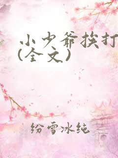 小少爷挨打日常(全文)