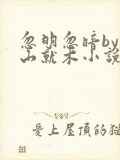 忽明忽暗by冷山就木小说免费阅读笔趣阁全文