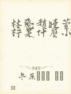 林飞赵晓萱张羽柠是什么小说