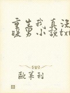 重生我真没想当暖男小说txt