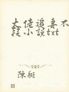 大佬追妻不择手段小说txt