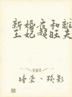 新婚夜和离替嫁王妃超旺夫
