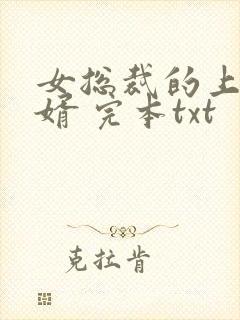 女总裁的上门龙婿 完本txt