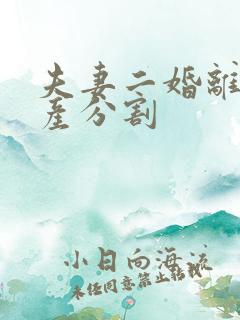 夫妻二婚离婚财产分割