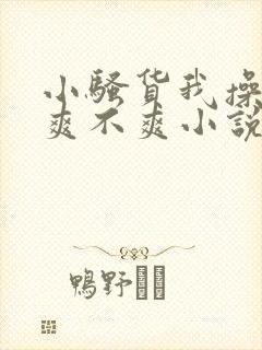 小骚货我操的你爽不爽小说