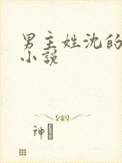 男主姓沈的总裁小说