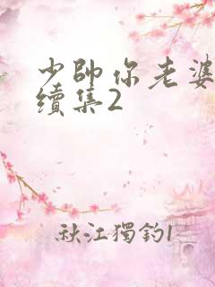 少帅你老婆跑了续集2