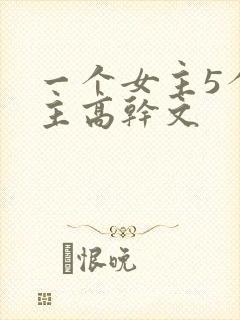 一个女主5个男主高干文