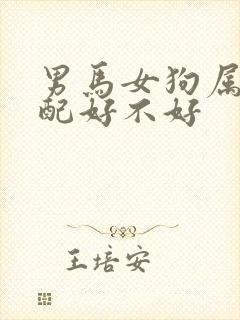 男马女狗属相婚配好不好