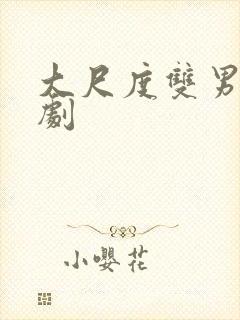 大尺度双男主泰剧