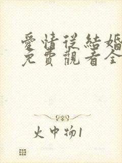 爱情从结婚开始免费观看全集在线观看