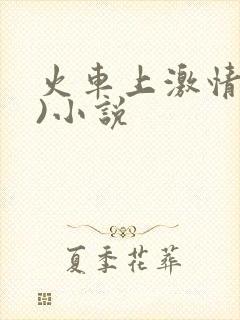 火车上激情(h)小说