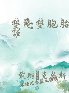 双飞双胞胎h小说