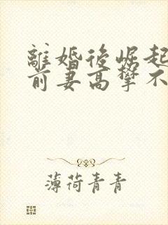离婚后崛起绝美前妻高攀不起