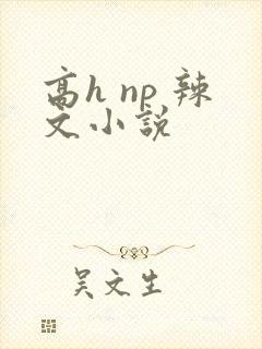 高h np 辣文小说