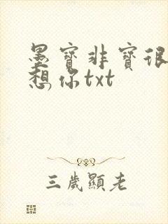 墨宝非宝很想很想你txt